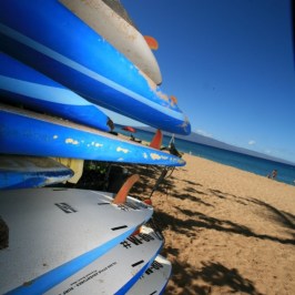 surf boards