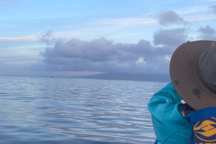 a man sitting in a boat on a body of water